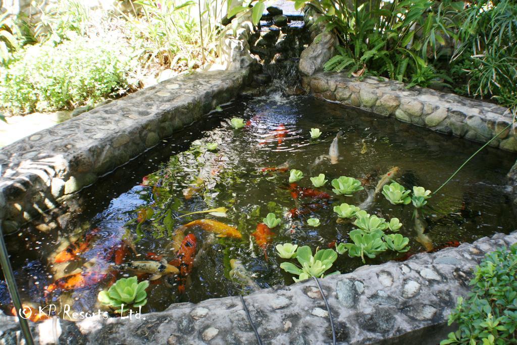 Enchanted Waters Tobago Buccoo Exteriör bild